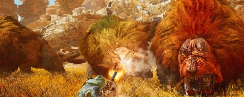 怪物猎人：荒野追加报酬方法